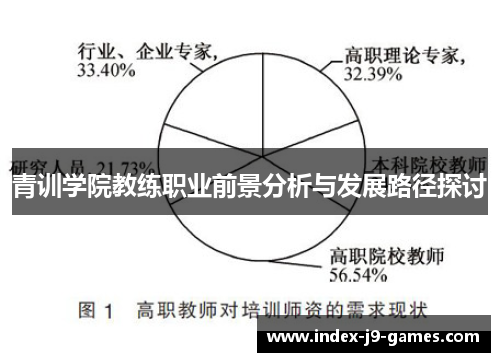 青训学院教练职业前景分析与发展路径探讨